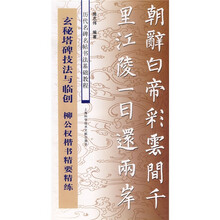 历代名碑名帖书法基础教程：玄秘塔碑技法与临创 柳公权楷书精要精练