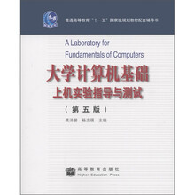 大学计算机基础上机实验指导与测试（第5版）
