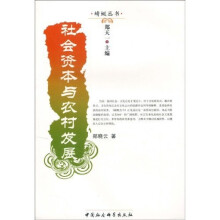 社会资本与农村发展