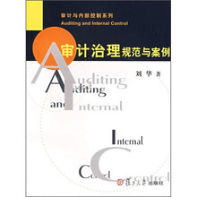 审计治理规范与案例
