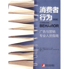 消费者行为：广告与营销专业人员指南（第4版）