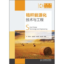 秸秆能源化技术与工程