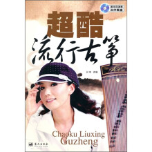 超酷流行古筝
