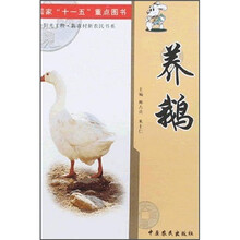 养鹅