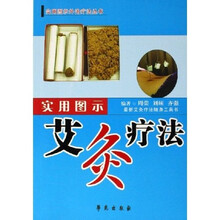 实用图示艾灸疗法