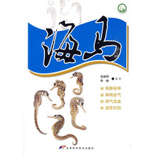 海马