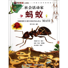 社会活动家:蚂蚁