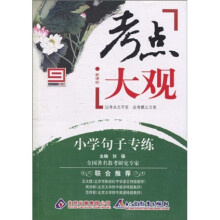 考点大观：小学句子专练（新课标）