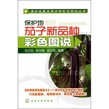 保护地茄子新品种彩色图说