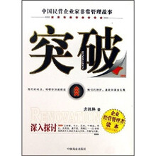 突破：中国民营企业家非常管理故事