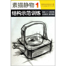 素描静物结构示范训练1