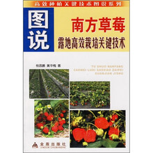 图说南方草莓露地高效栽培关键技术