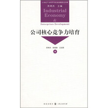 公司核心竞争力培育