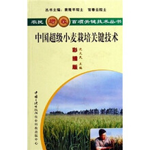中国超级小麦栽培关键技术（彩插版）
