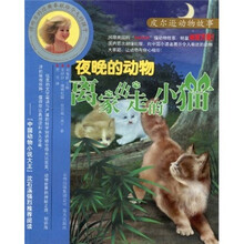 夜晚的动物：离家出走的小猫