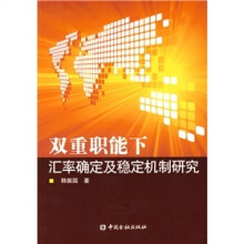 双重职能下汇率确定及稳定机制研究