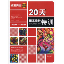校考突击:20天图案设计特训(超值精编版)