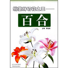 鳞茎鲜切花之王：百合