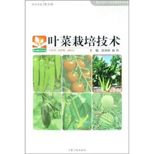 叶菜栽培技术