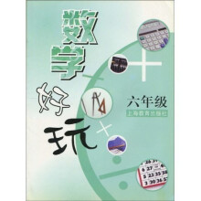 数学好玩：6年级