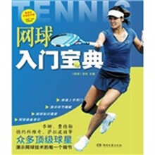网球入门宝典