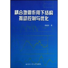 耦合地震作用下结构振动控制与优化