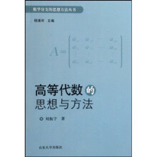 数学分支的思想方法丛书：高等代数的思想与方法