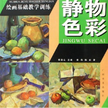 绘画基础教学训练:静物色彩