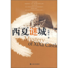 西夏谜城