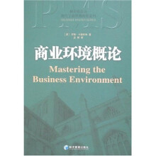 帕尔格雷夫现代工商管理教程系列：商业环境概论