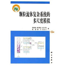 颗粒流体复杂系统的多尺度模拟