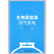 生物质能源沼气发电