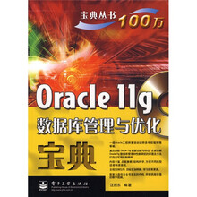 宝典丛书：Oracle11g数据库管理与优化宝典（附CD光盘1张）