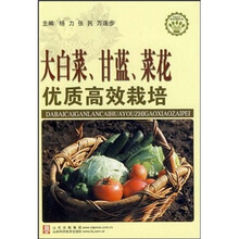 大白菜甘蓝菜花优质高效栽培