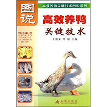 图说高效养鸭关键技术