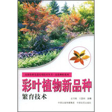 彩叶植物新品种繁育技术