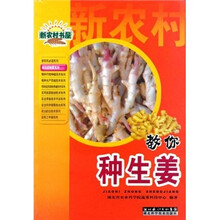 教你种生姜