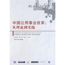 中国公用事业改革:从理论到实践