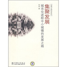 集聚发展：城市化进程中小城镇的发展之路
