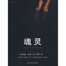 魂灵:死后生命的科学探索