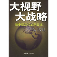 大视野大战略：缩小断层带的新思维