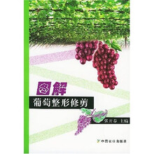 图解葡萄整形修剪