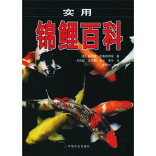 实用锦鲤百科