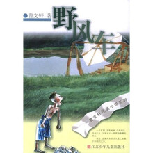 野风车
