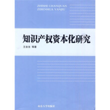 知识产权资本化研究