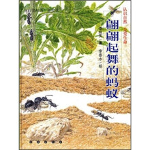 与自然相遇·美绘本:翩翩起舞的蚂蚁
