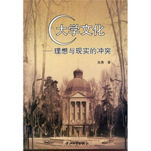大学文化：理想与现实的冲突