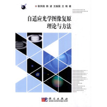 自适应光学图像复原理论与方法