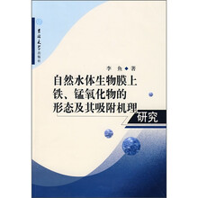 自然水体生物膜上铁锰氧化物的形态及其吸附机理研究