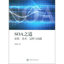 SOA之道：思想、技术、过程与实践
